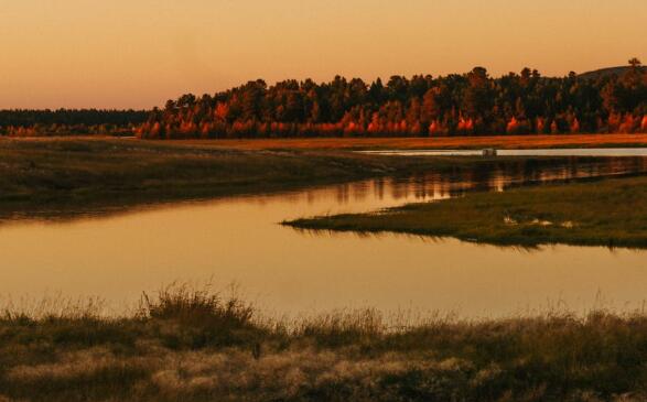 QQ截图20220215105532