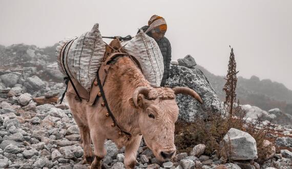 QQ截图20220215110007