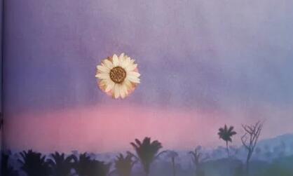 QQ截图20220216134226