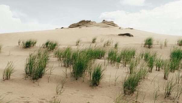 QQ截图20220301165930