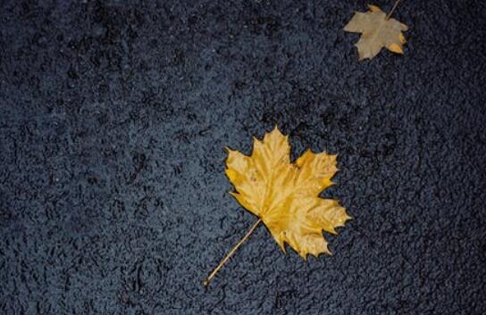 QQ截图20220305132708