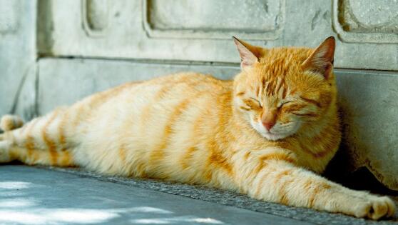 QQ截图20220307145759