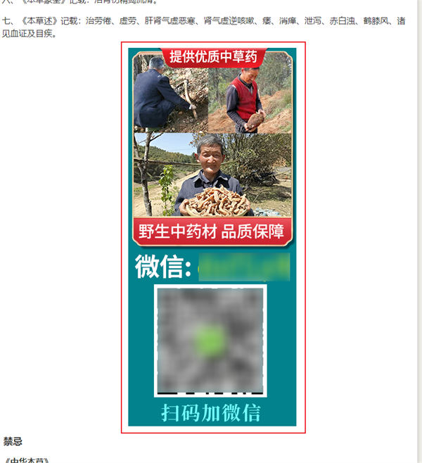 做网站,还是大有可为! 流量 网站 网站推广 SEO推广 第3张