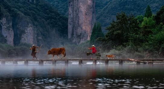 QQ截图20220309102602