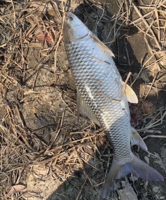 QQ截图20220309194852