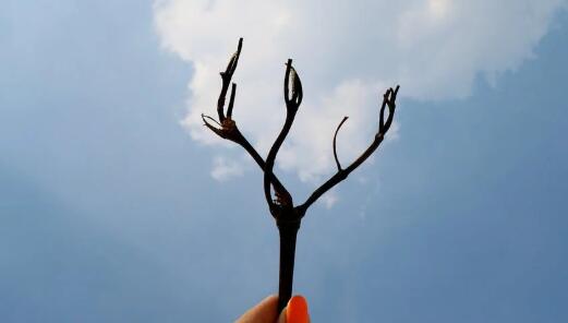 QQ截图20220312092235