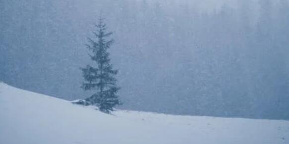 QQ截图20220314115311