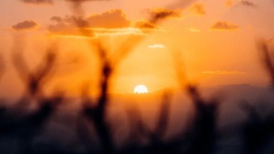 QQ截图20220314115602