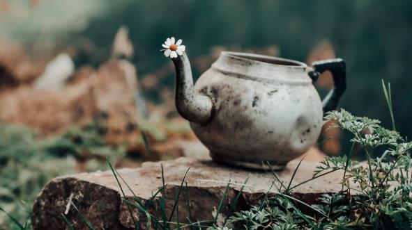 搜狗截图22年03月15日0647_1