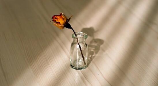 QQ截图20220315105210