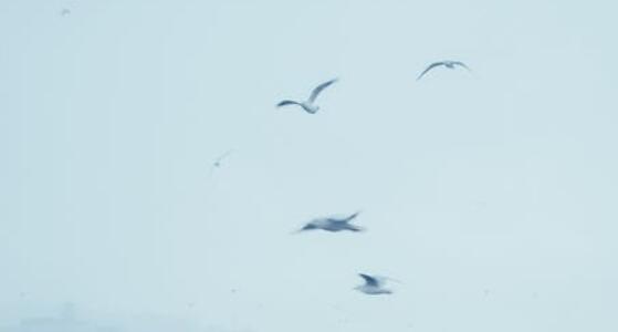 QQ截图20220319164618