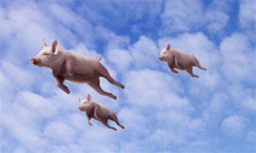 短视频内容创业，注定只是少数人的游戏 短视频 创业 好文分享 第4张