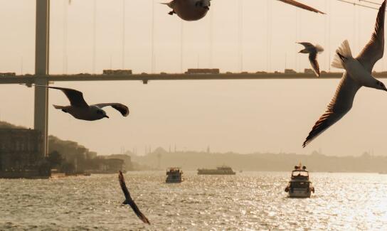 QQ截图20220401095749