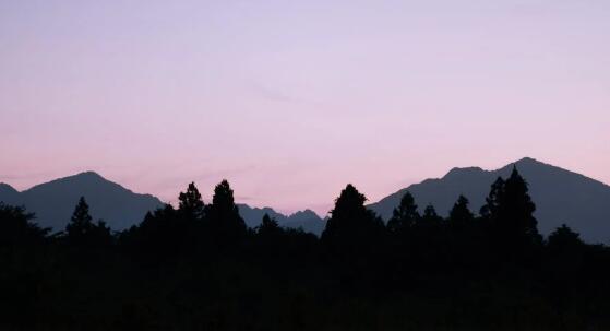 QQ截图20220402101213