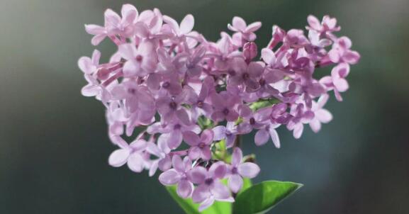 QQ截图20220404100812