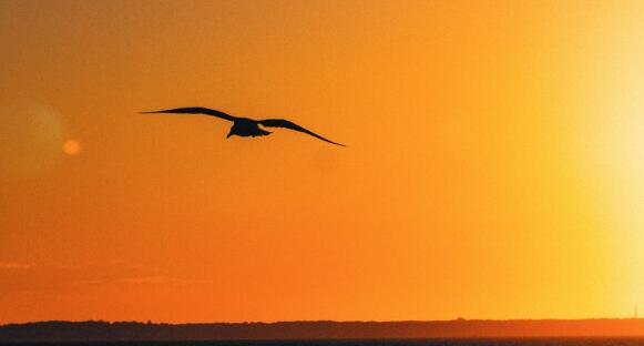 QQ截图20220409093213