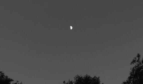 QQ截图20220412104211