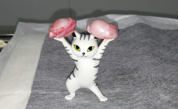 QQ截图20220417105326