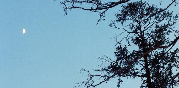 QQ截图20220423085333