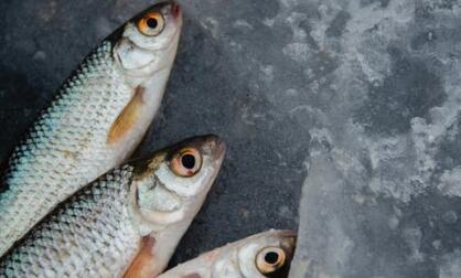 QQ截图20220510081924