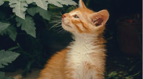 QQ截图20220625095147