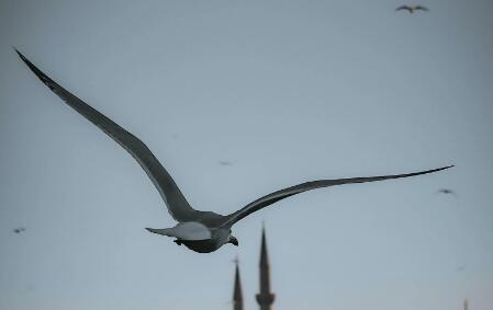 QQ截图20220929103246