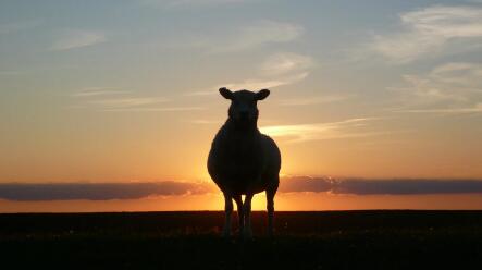 QQ截图20221217104128