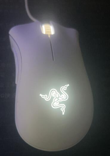 QQ截图20221227174838