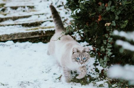 QQ截图20221228102553