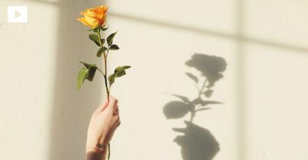 QQ截图20221230124931