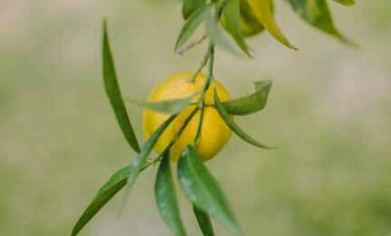 QQ截图20230509104544