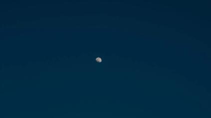 QQ截图20230515095752