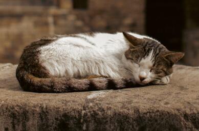 QQ截图20230524092603