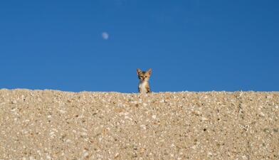 QQ截图20230603100729