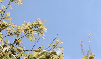 QQ截图20230626113427