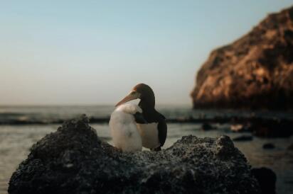 QQ截图20230701105509