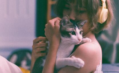 QQ截图20230705103323