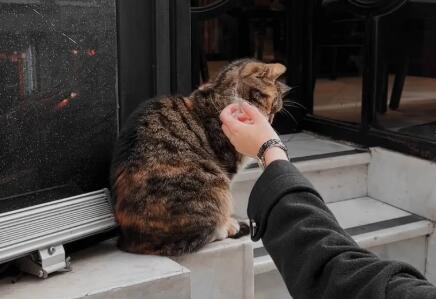 QQ截图20230719105430