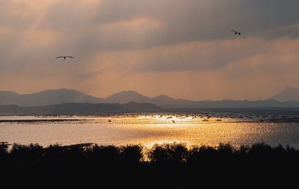 QQ截图20230726111051