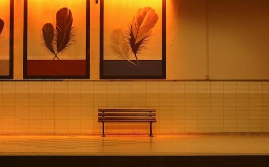 QQ截图20230821115304