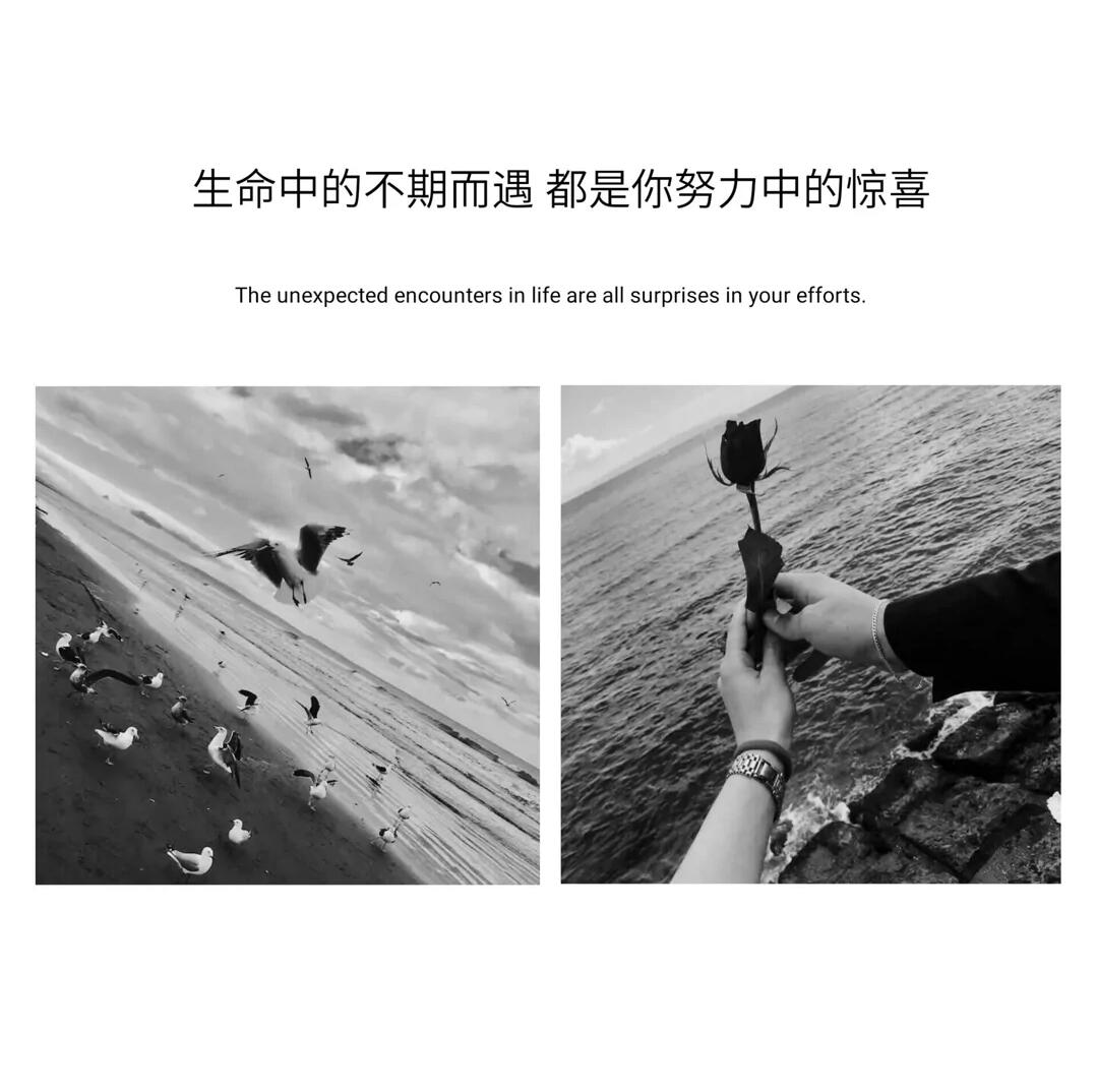 QQ图片20210313095916