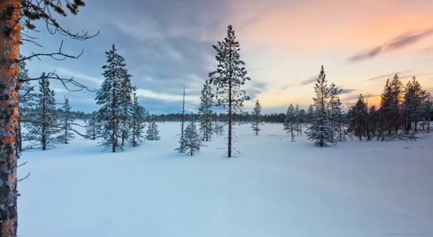 一辈子都不用改的签名,简直不要太霸气3
