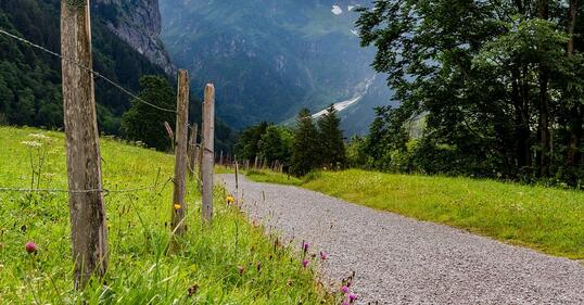 QQ截图20240227191541